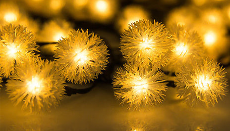 Solar Powered LED Dandelion Flower Lights