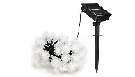 Solar Powered LED Dandelion Flower Lights